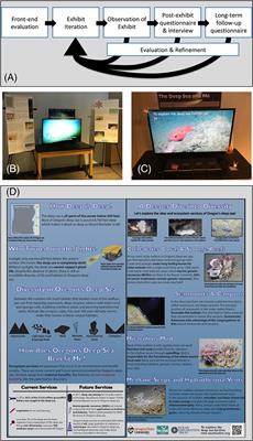 The Deep Sea and Me: Using a Science Center Exhibit to Promote Lasting Public Literacy and Elucidate Public Perception of the Deep Sea